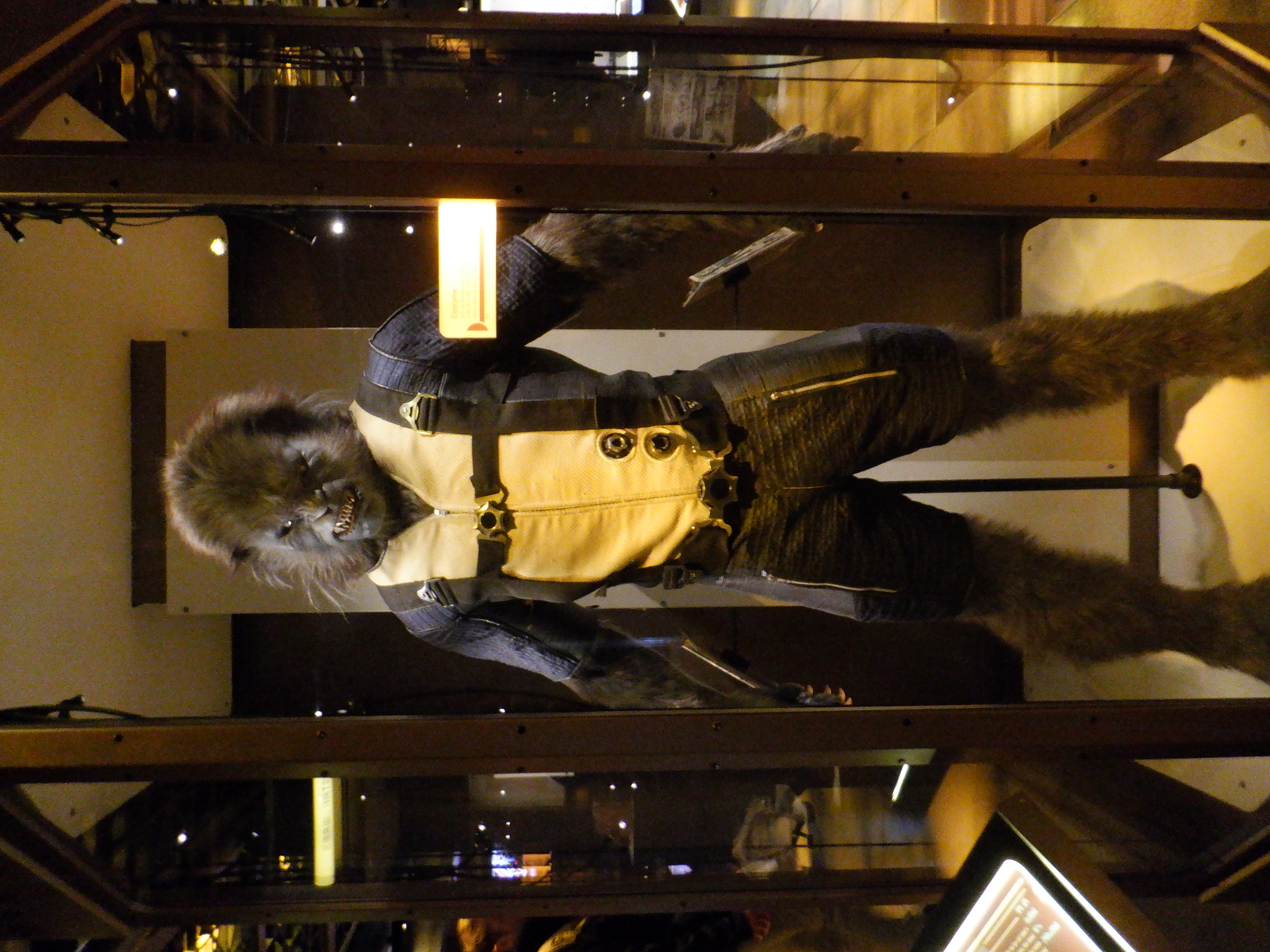./2020/03 - Seattle/DSCF1363.JPG